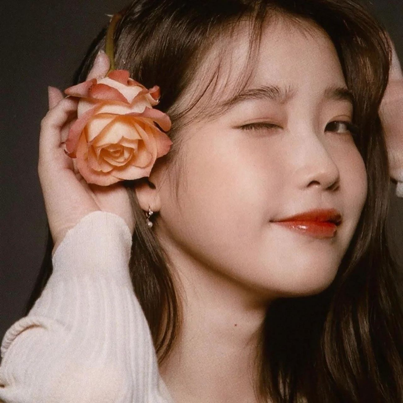 iu李知恩头像,爱了爱了