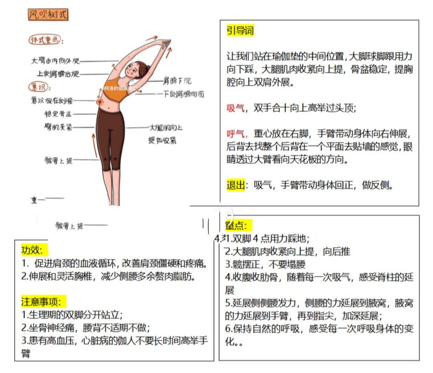 风吹树式口令图片