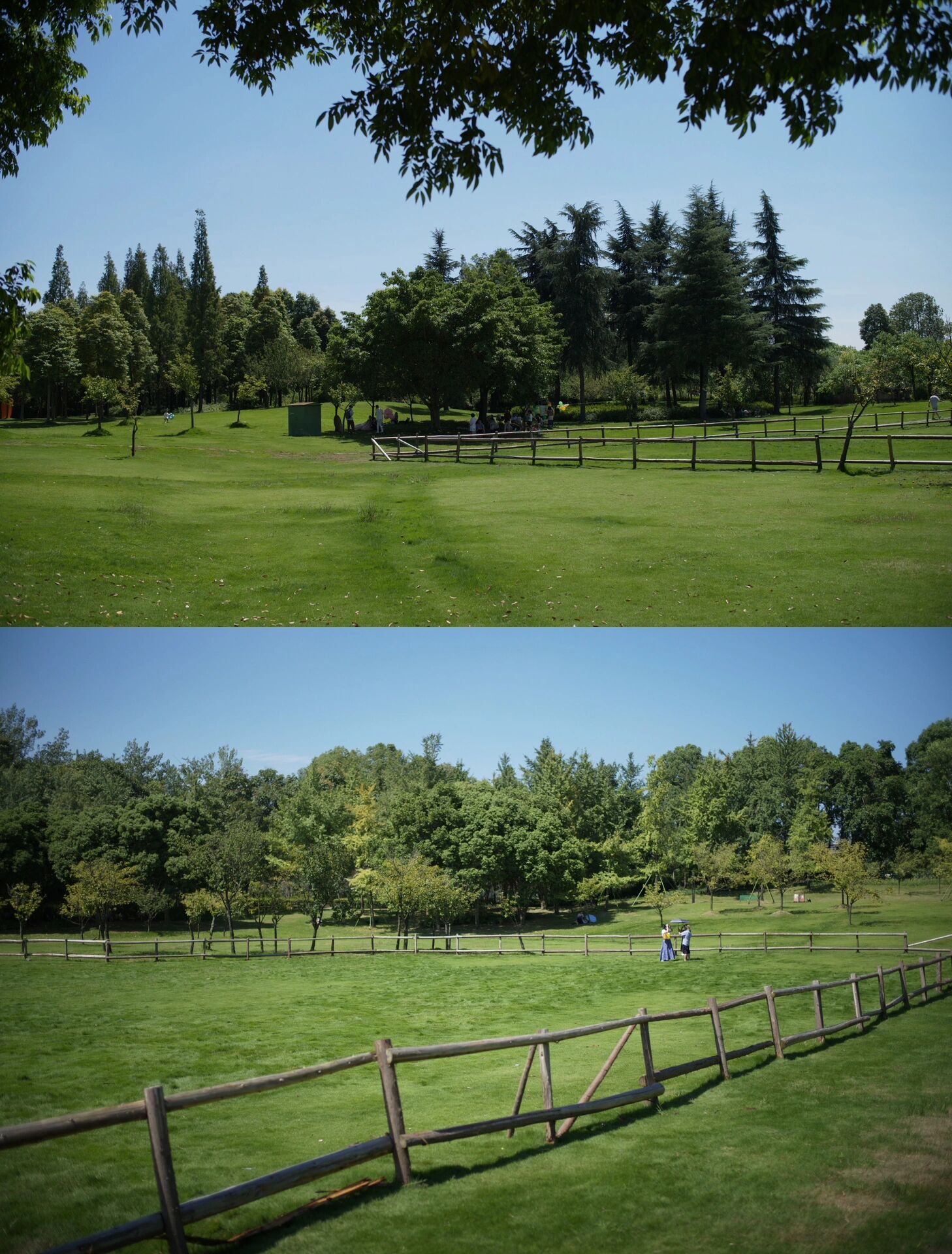 双流中心公园  又是一个全都给我去!