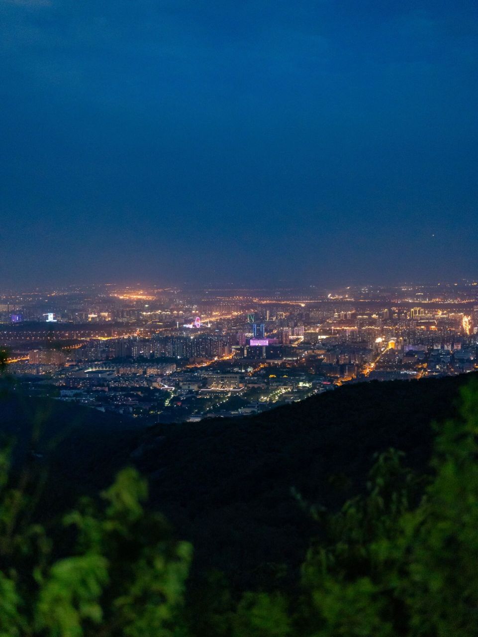 西山公园夜景图片