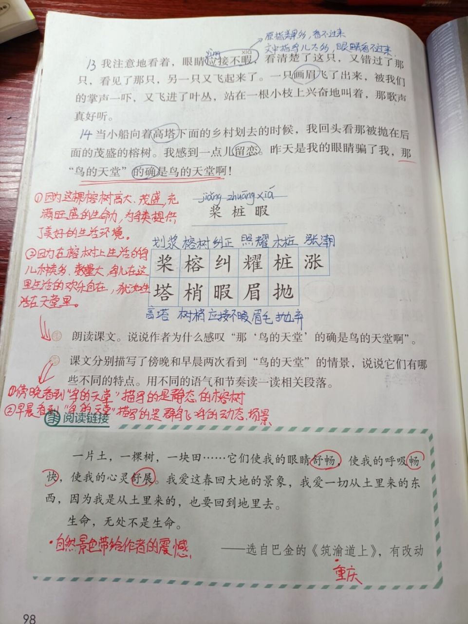 人教版语文五上 第23课 鸟的天堂 #五年级语文# #语文笔记# #语文课
