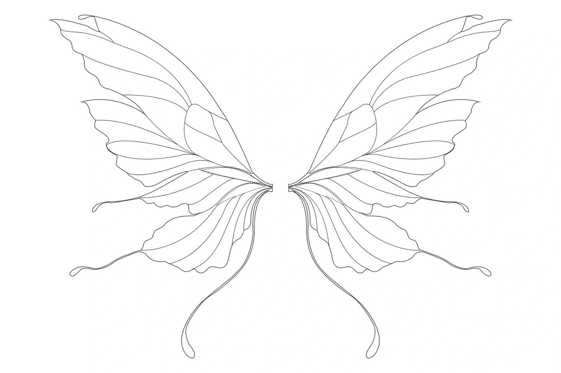 精灵/蝴蝶翅膀线稿 不是自己原创,是网上的图"扒"下来的,给有需要的