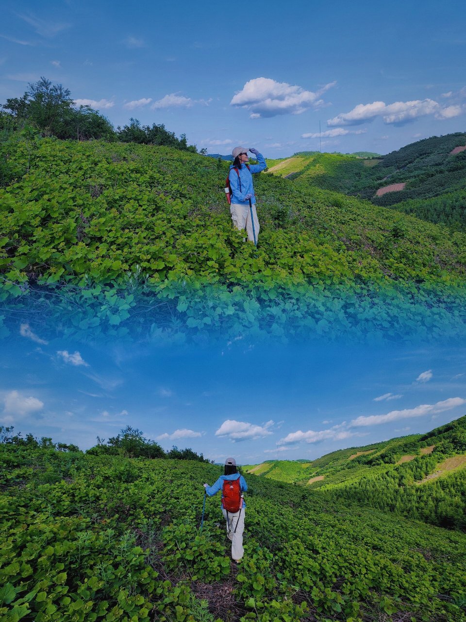 周末愉快|爬山-抚顺皇顶山16km 一个废弃的森林公园,走的人很少 图5是