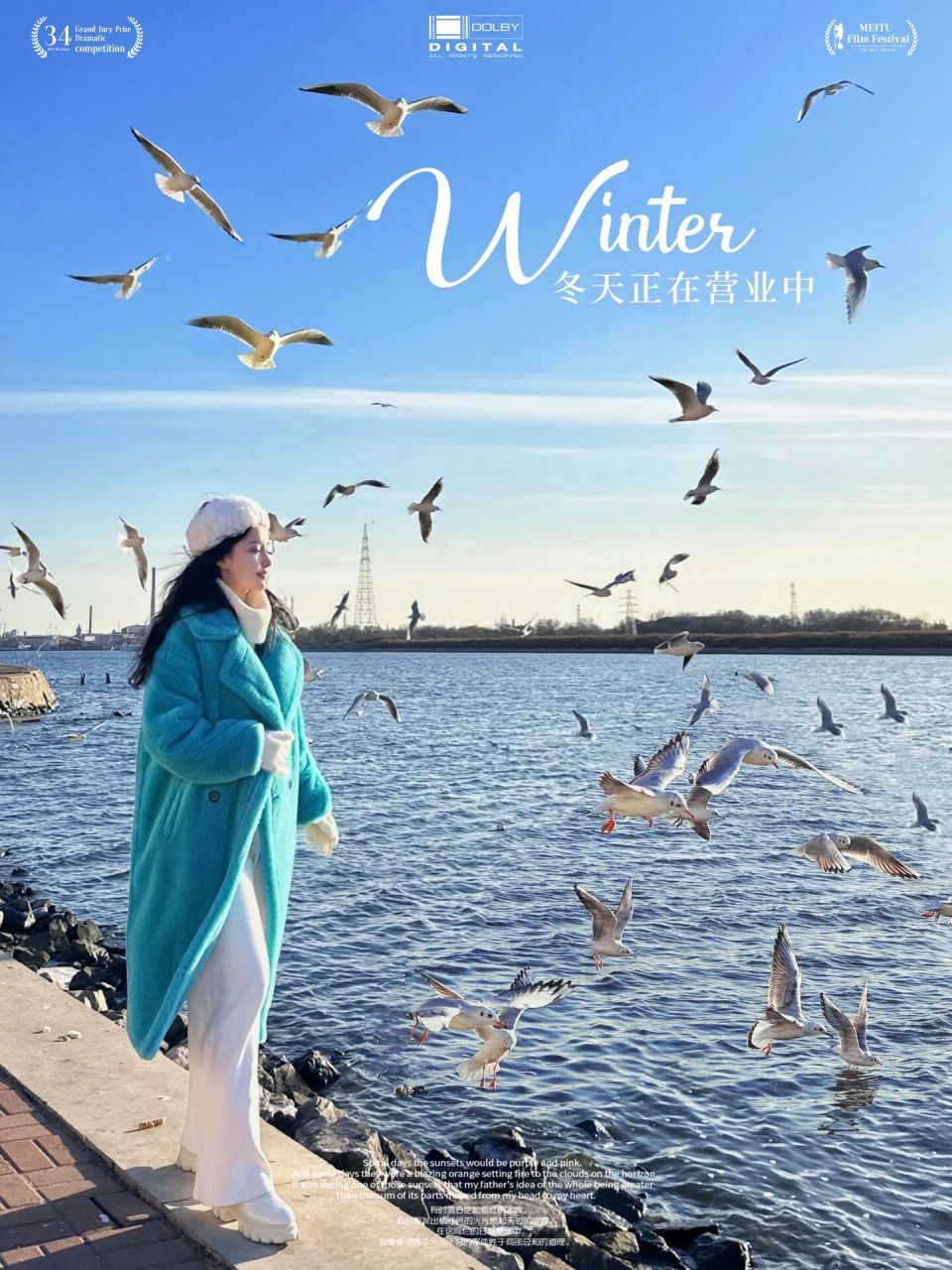 原来海鸥的叫声这么吵9898 好像第一次近距离接触这么多的海鸥