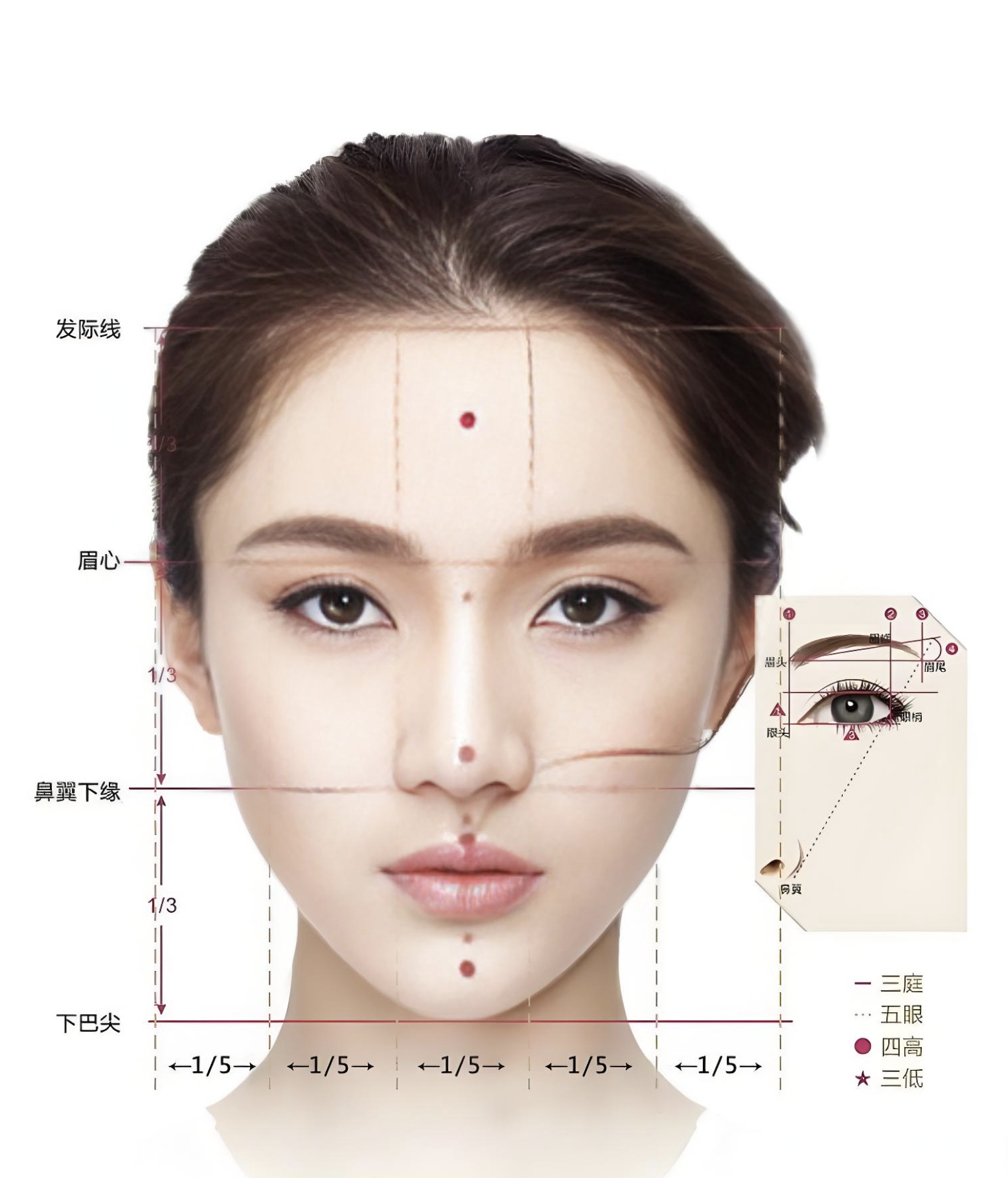 瞳孔连线,口角连线,面中线与水平线的关系五官的正确比例图面部孤律
