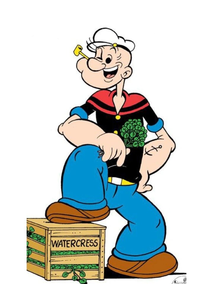 力大无穷的大力水手——波派 儿童画素材参考