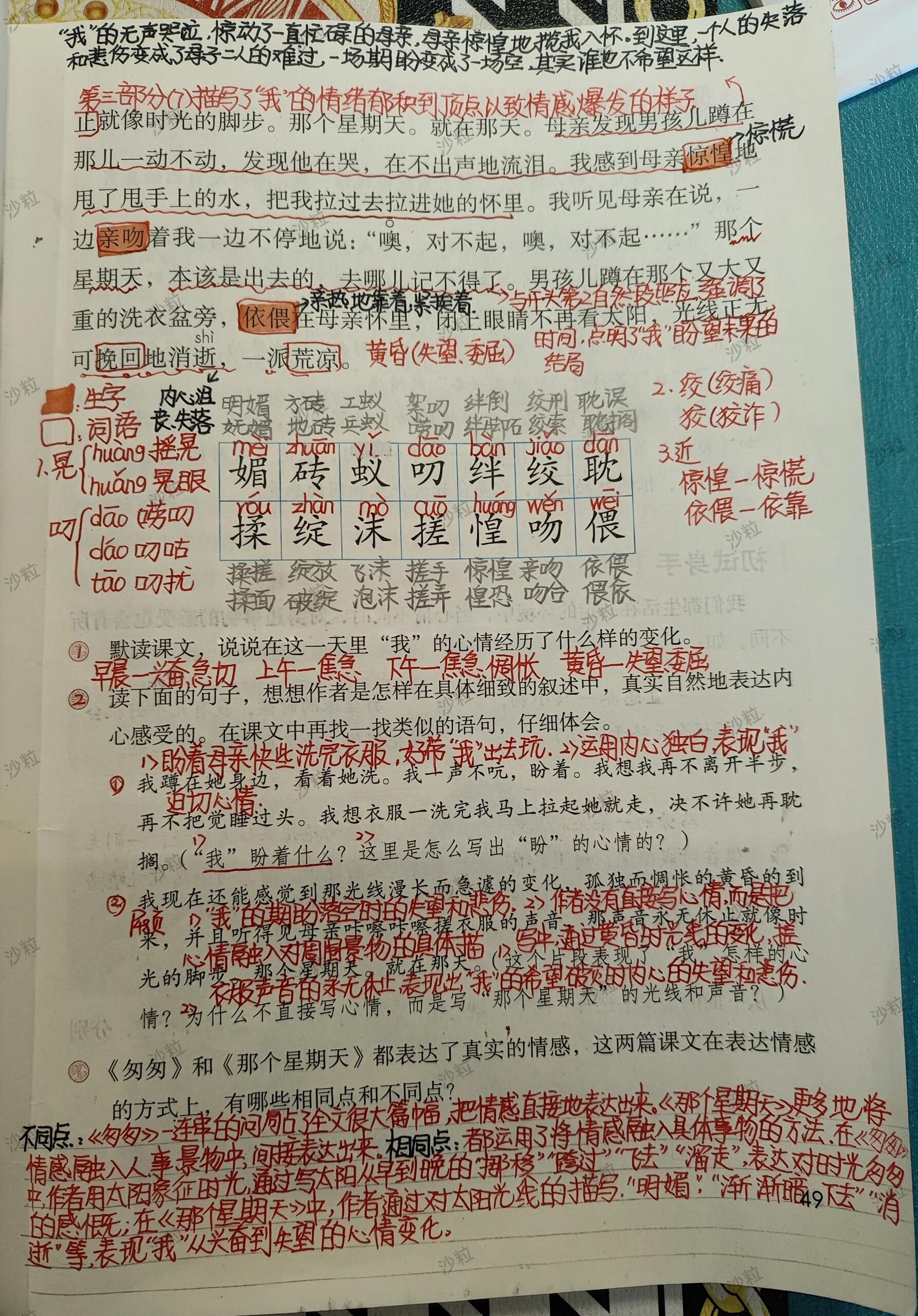 六年级下册第九课笔记图片