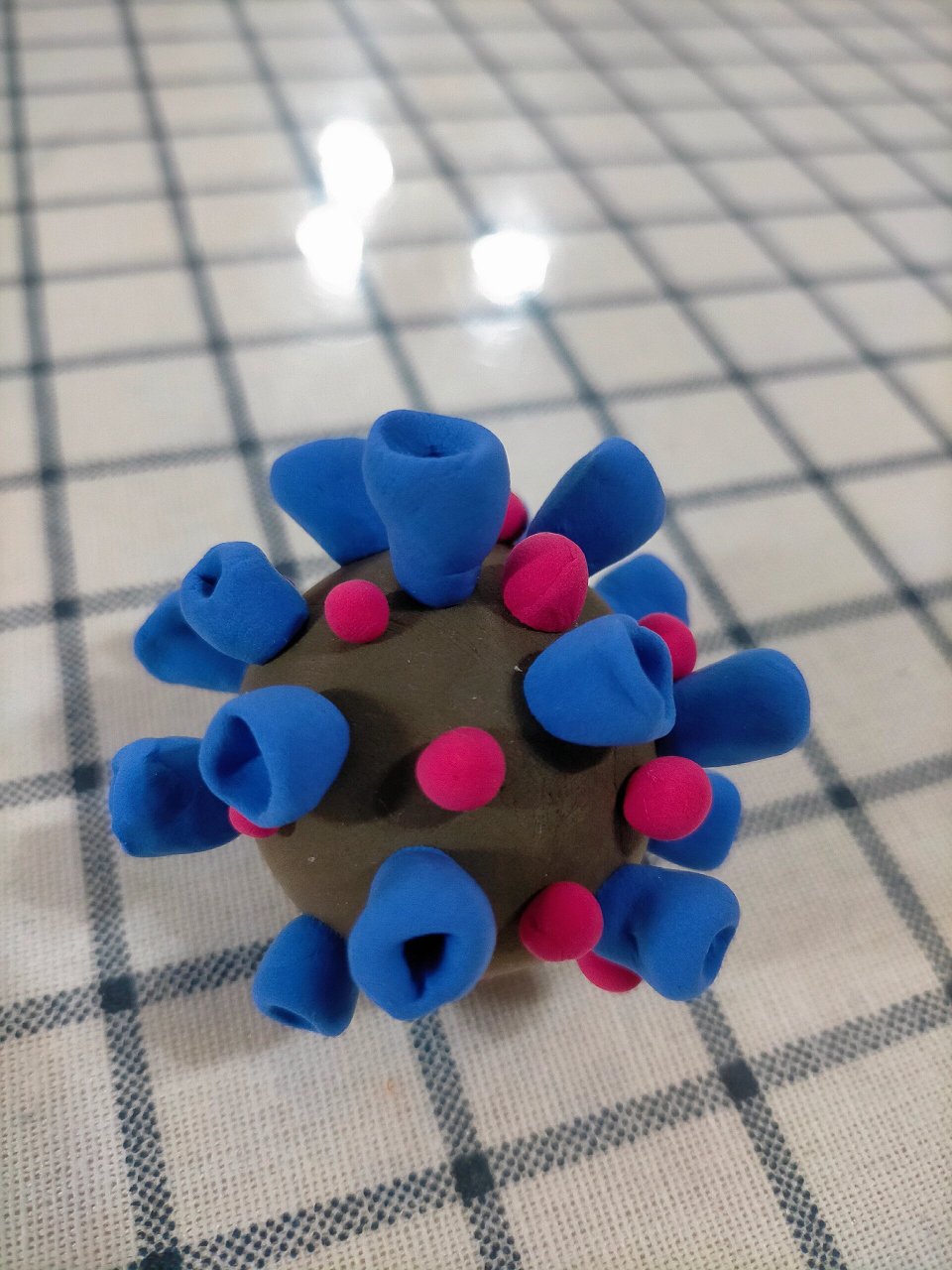 给阳哥做的生物课细菌和病毒模型04