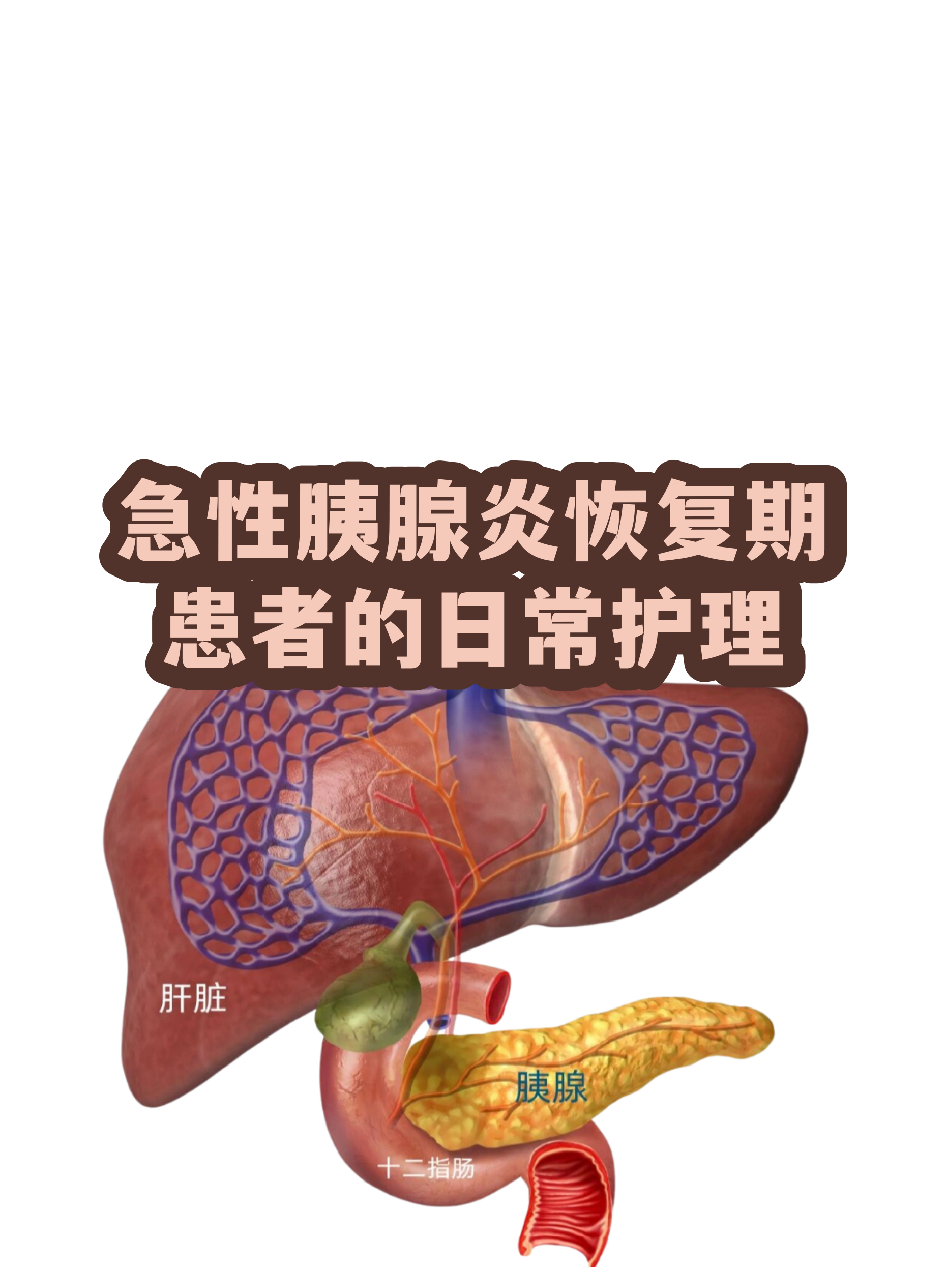 包含友誼醫院異地就醫陪診代掛號出院居家護理提醒，科學恢復身體的詞條