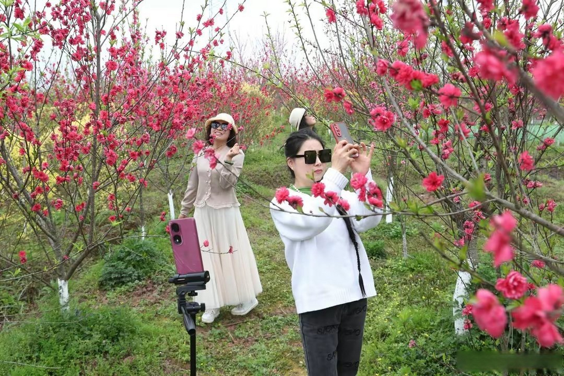 广安大地花谷门票图片