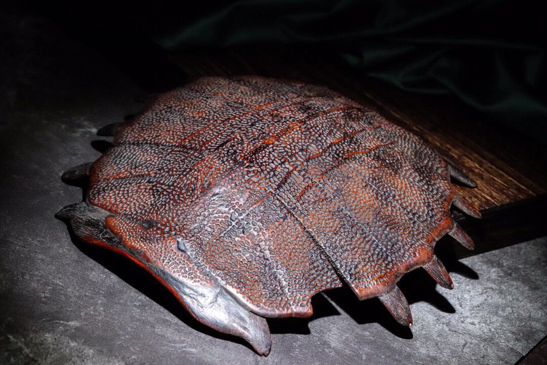 【六朝鼋甲 古物传承 现货现发82】"帝王棕中红!江山万年红!