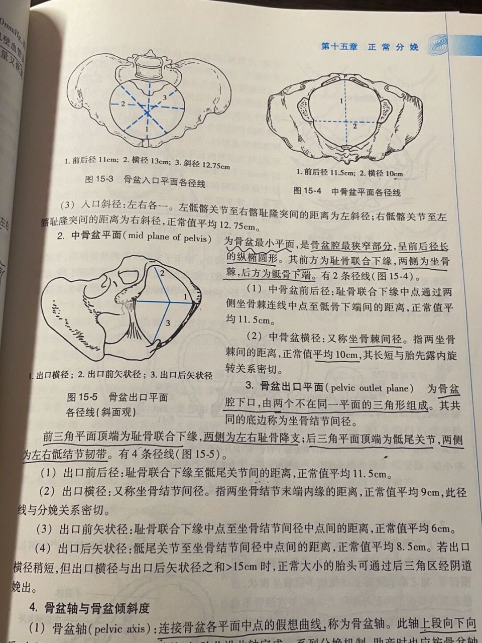 骨盆的这些径线到底要怎么才能记住#妇产科