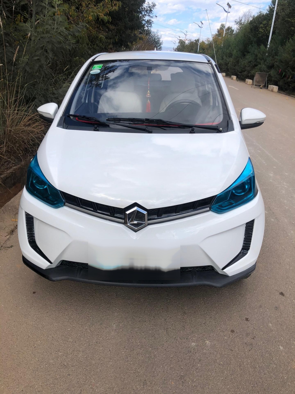 雷丁四轮电动车d80高配 真皮座椅 方向助力 四门电动玻璃 铝合金轮毂