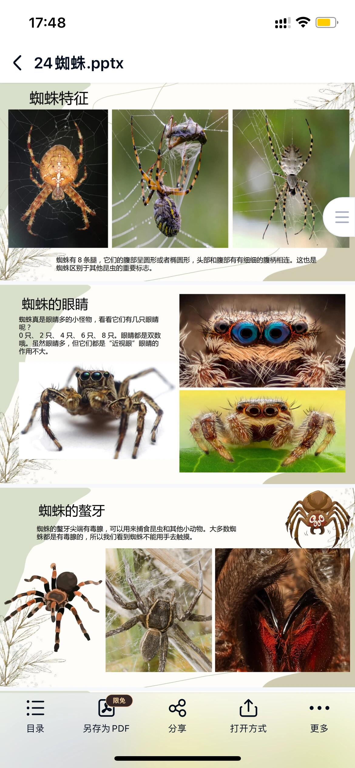 蜘蛛不属于昆虫,蜘蛛的特征,蜘蛛的螯牙