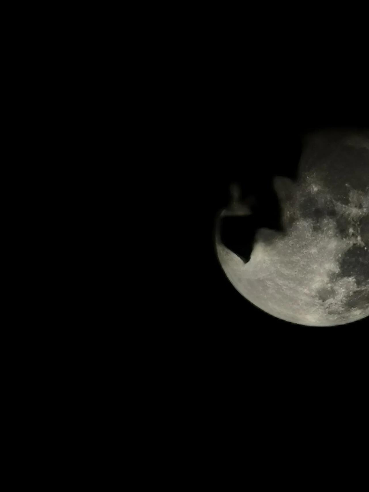 日常 看到一句话感觉很好 凡我所失,皆非我所有 凡