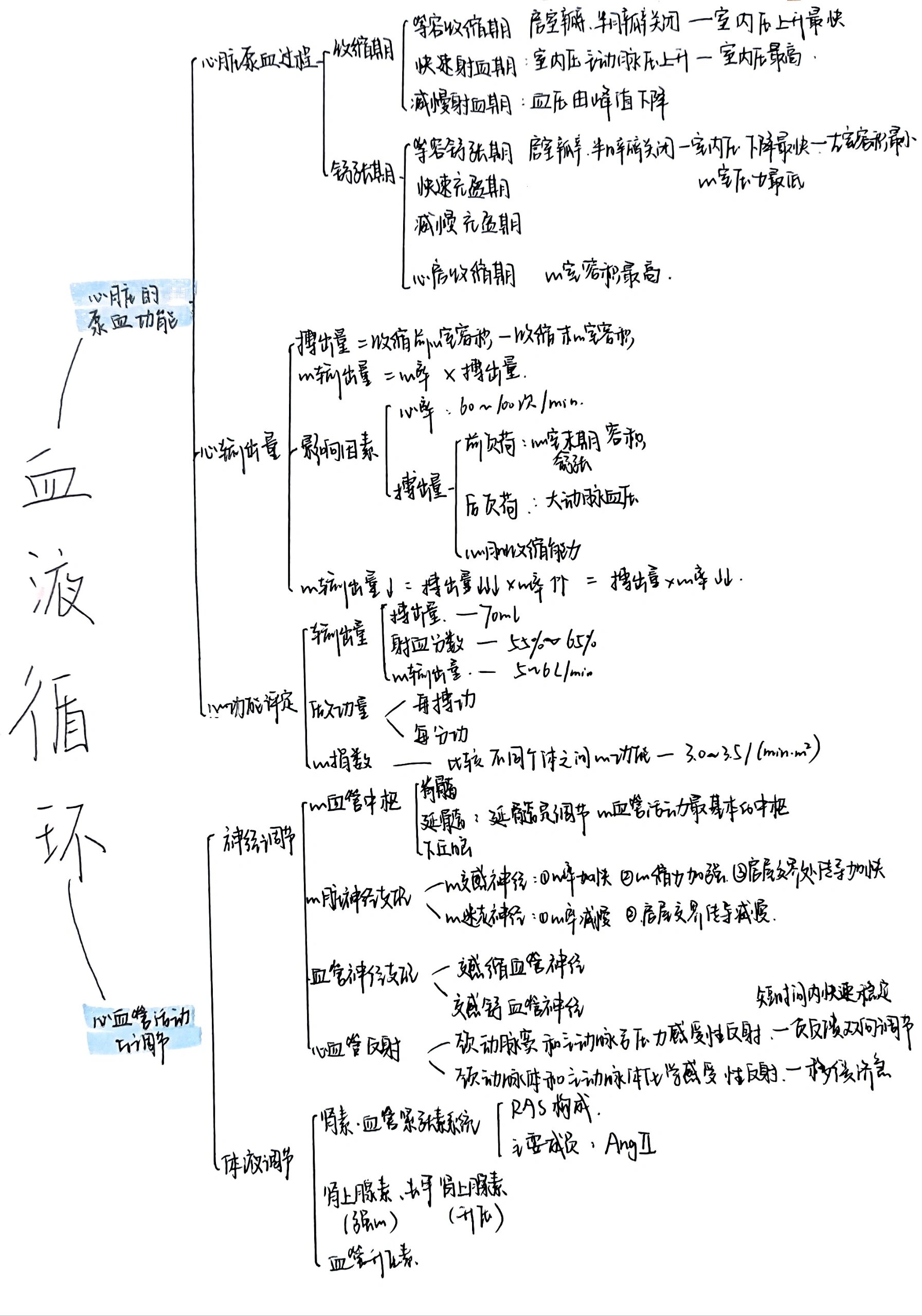 人体血液思维导图图片