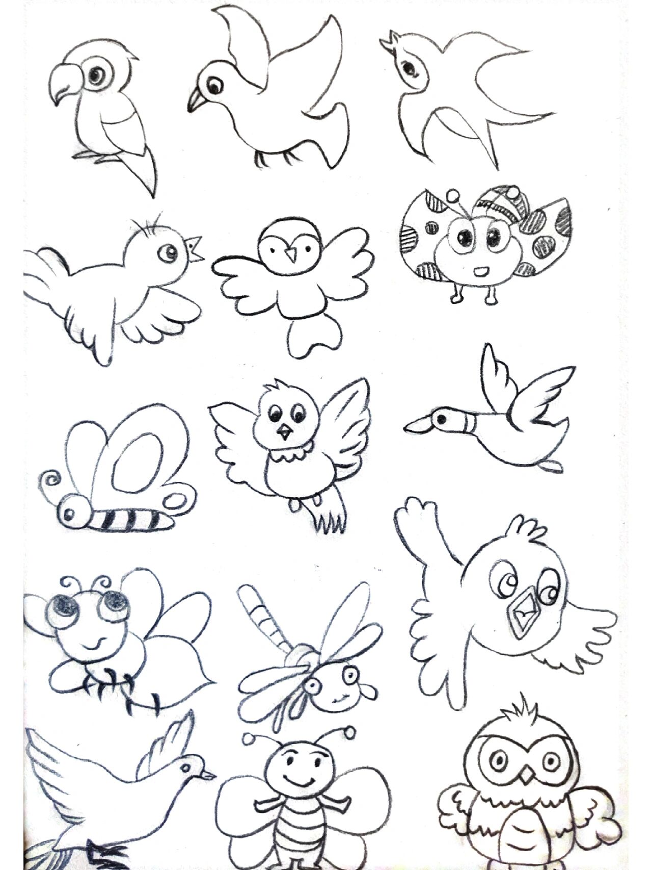 天上飞的动物07简笔画