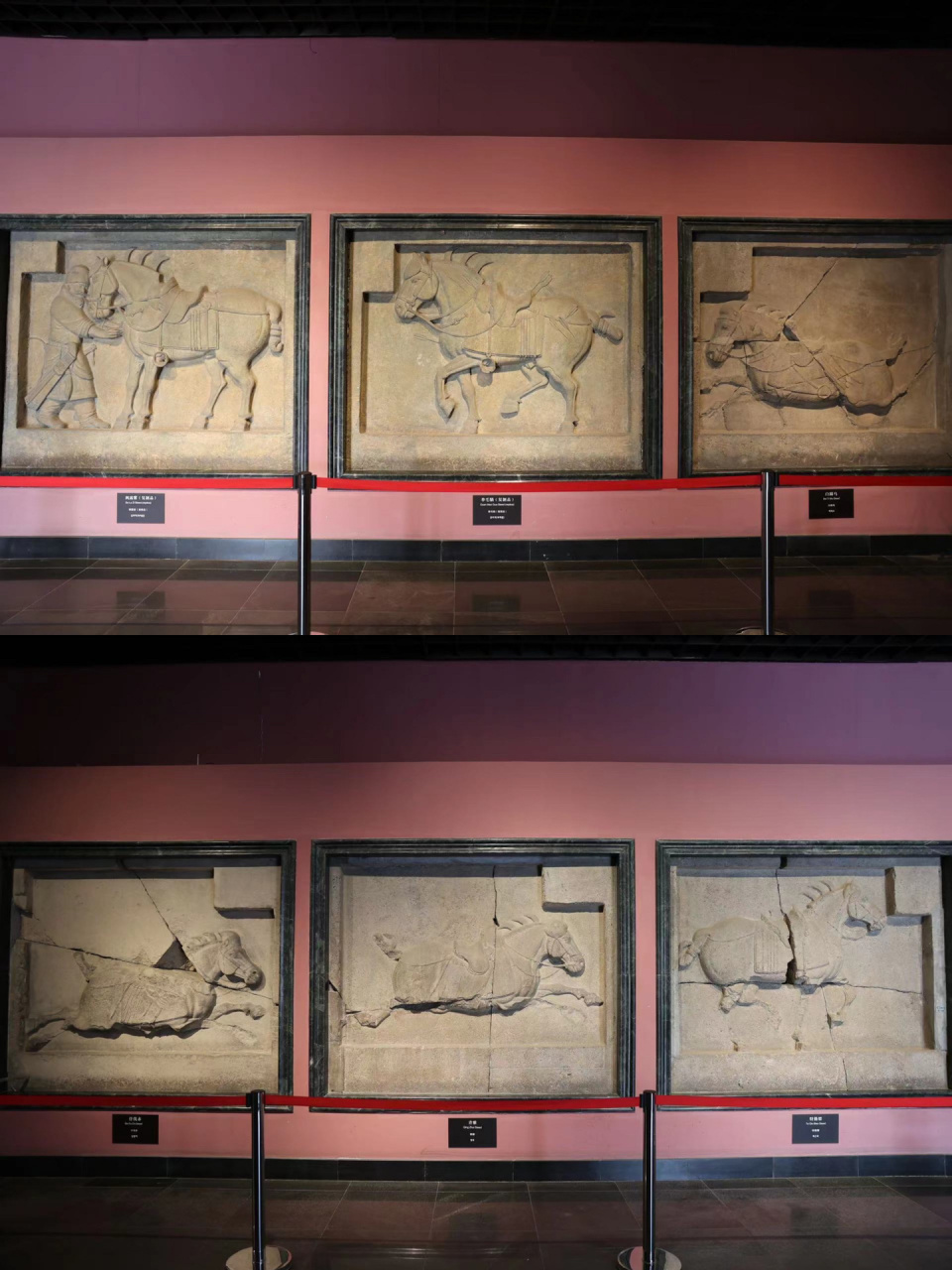 昭陵六骏|历经劫难的国宝   西安碑林博物馆的昭陵六骏是中国唐朝第二