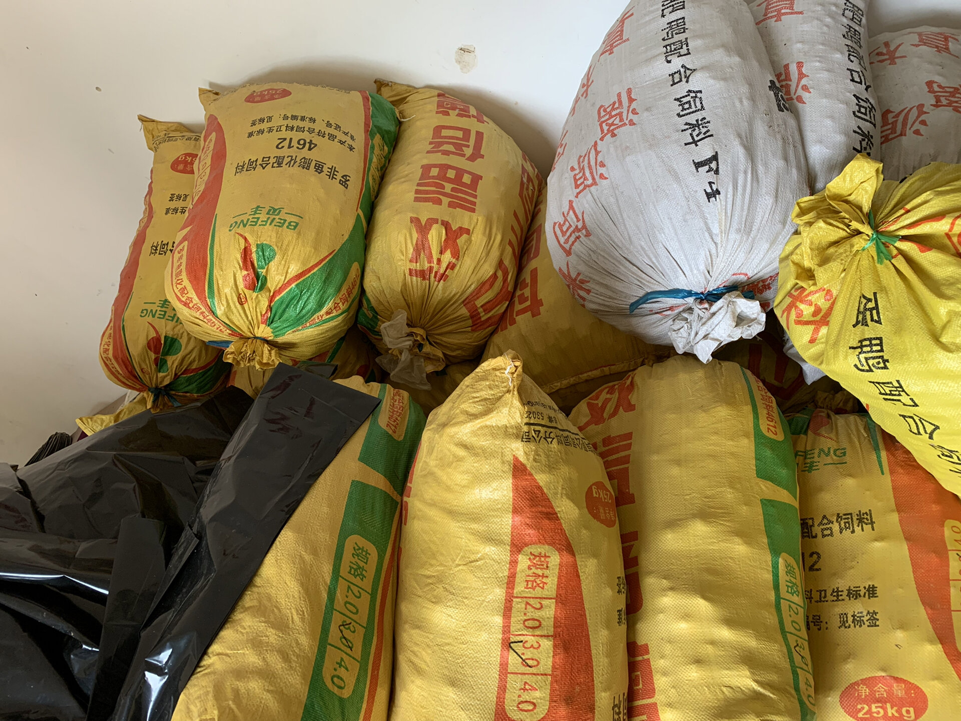 马蹄大丰收,却迎来白菜价.