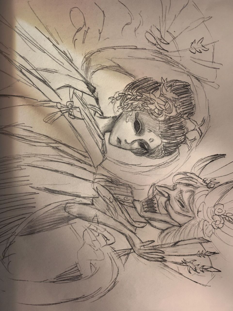 教大家画红蝶(有点丑)