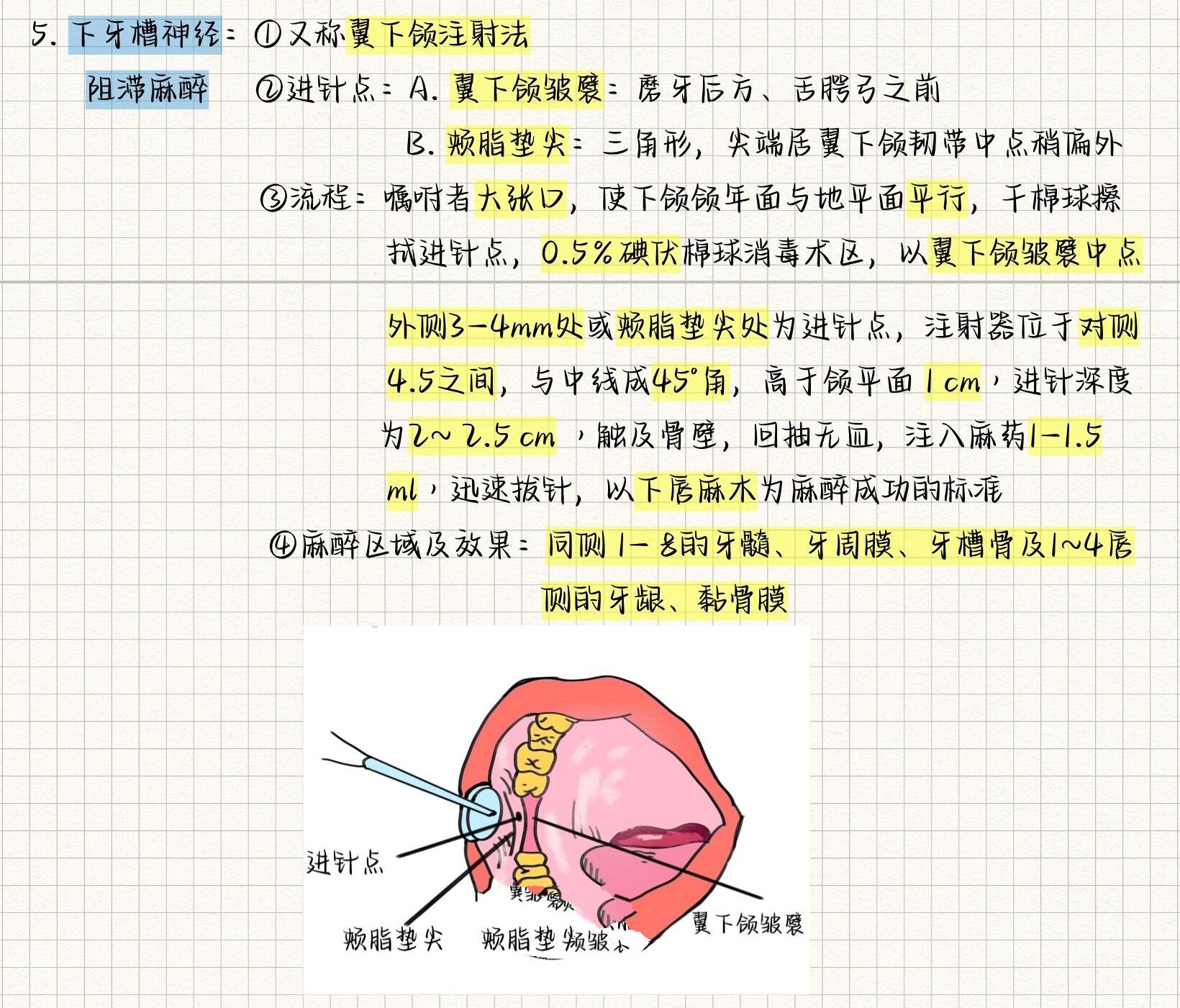 龈下刮治麻醉注射点图片