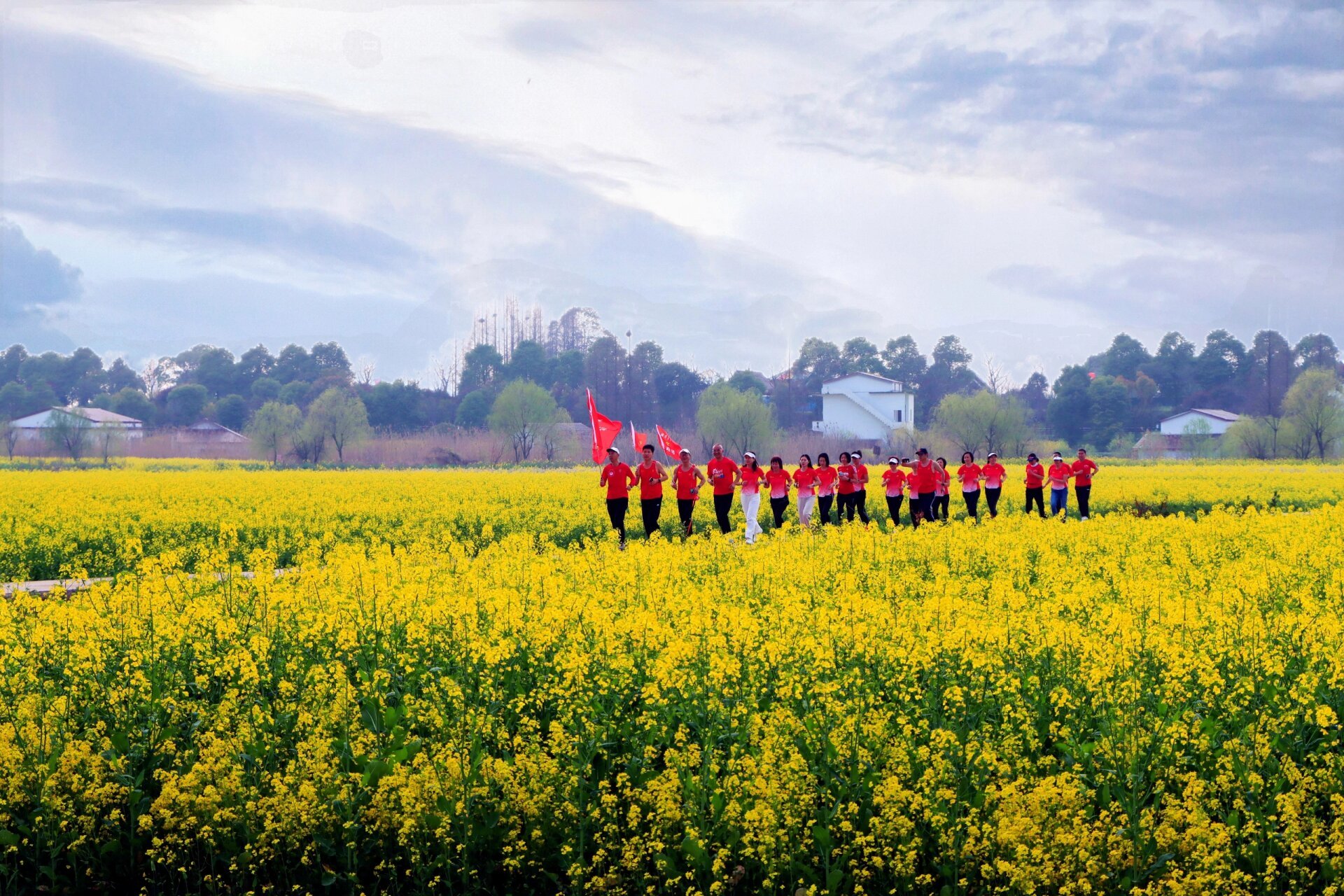 南县罗文花海 一直听说南县罗文花海搞得不错,趁着周末去看了看,金