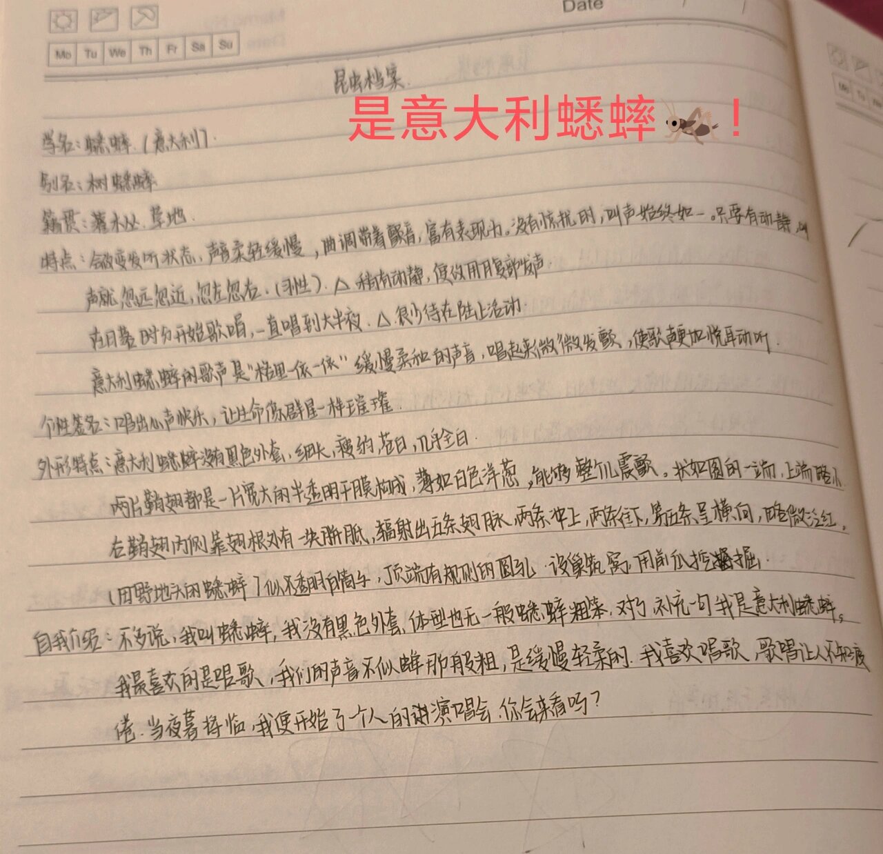 《昆虫记》昆虫档案--意大利蟋蟀