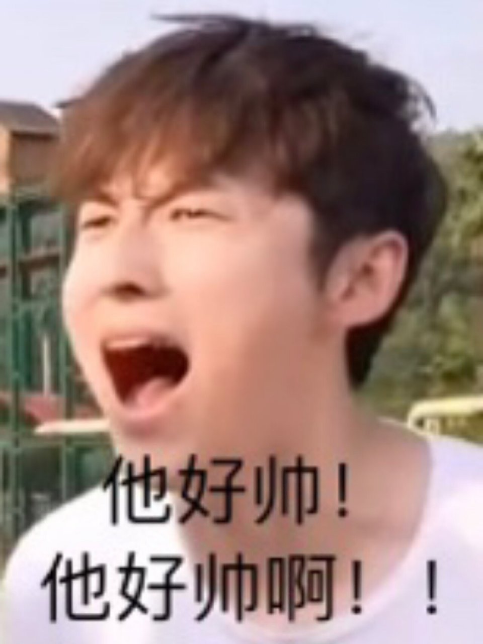 啊吗粽表情包 下一个是谁,谢谢你 在我做完言语不言不语的时候,还能有