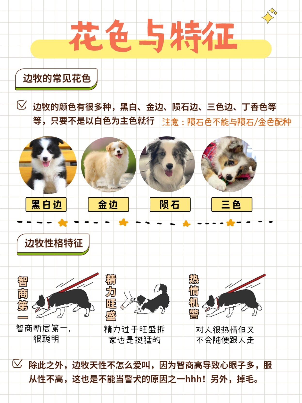 或者说关在一个大房间里面进行饲养