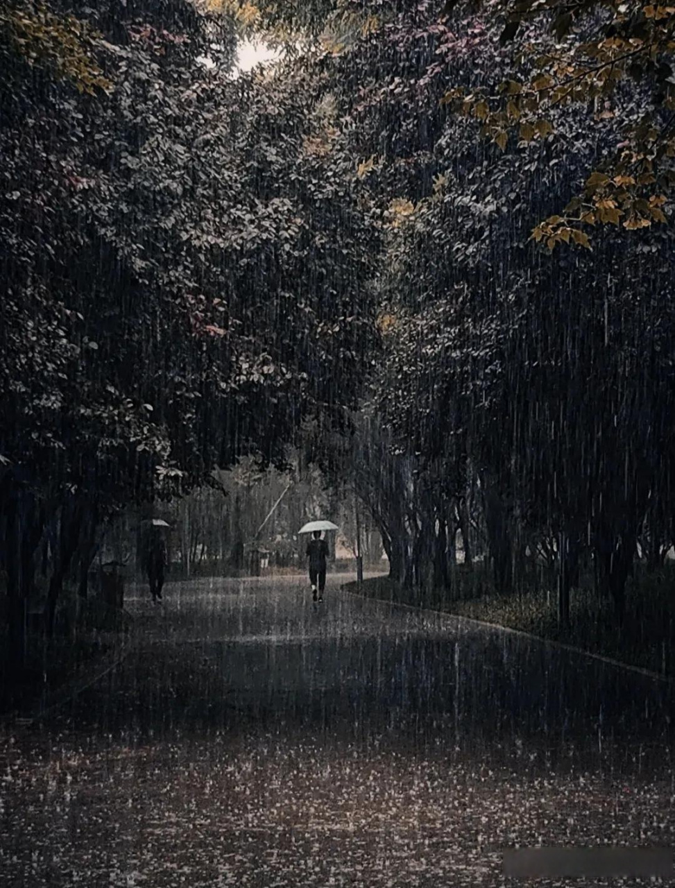 数点雨声风约住, 朦胧淡月云来去. 镜头下的诗意生活