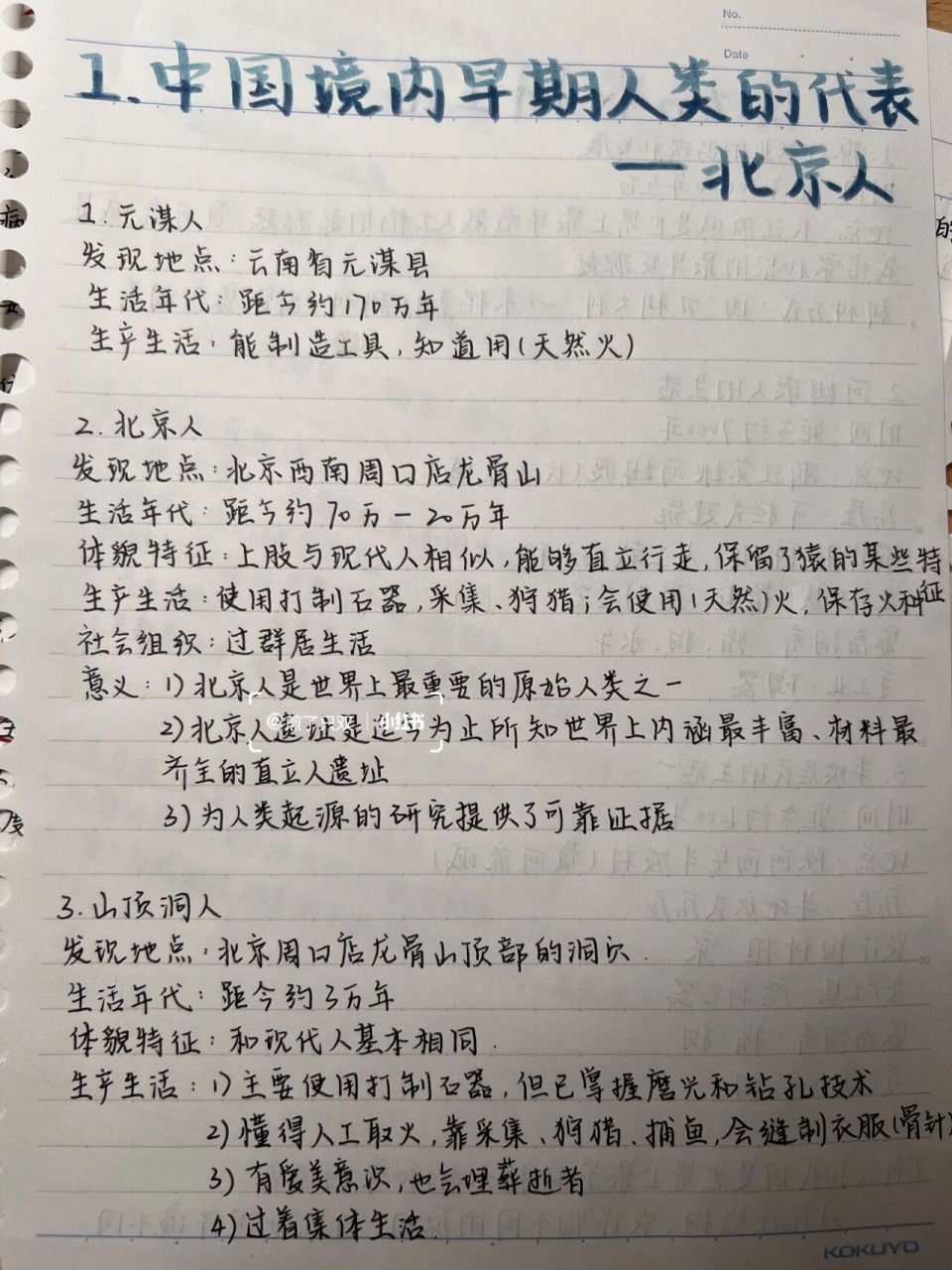北京人头盖骨笔记图片
