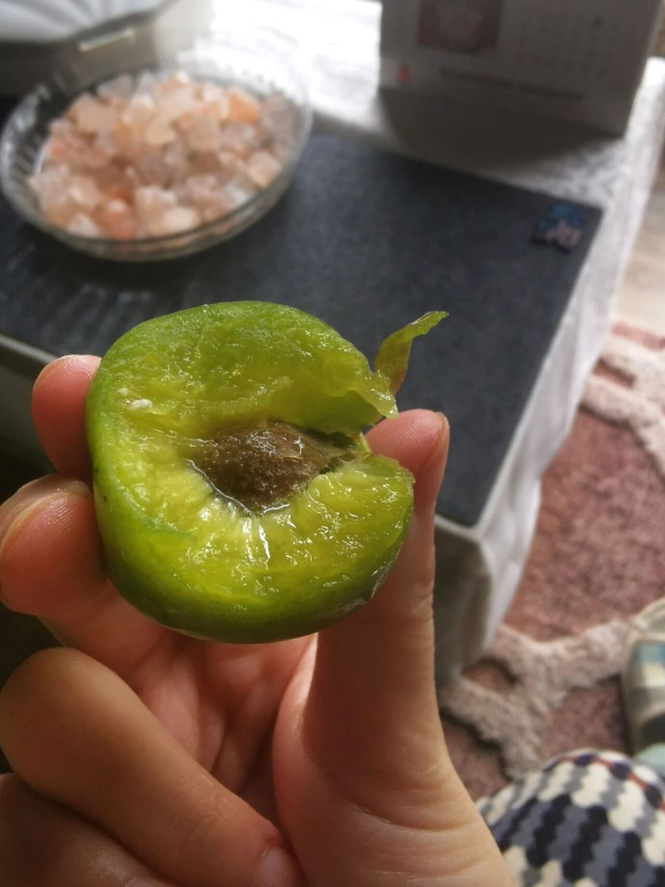 绿李子也叫青梅 我们每年时令必买,吃到爽的新西兰当季水果greengage