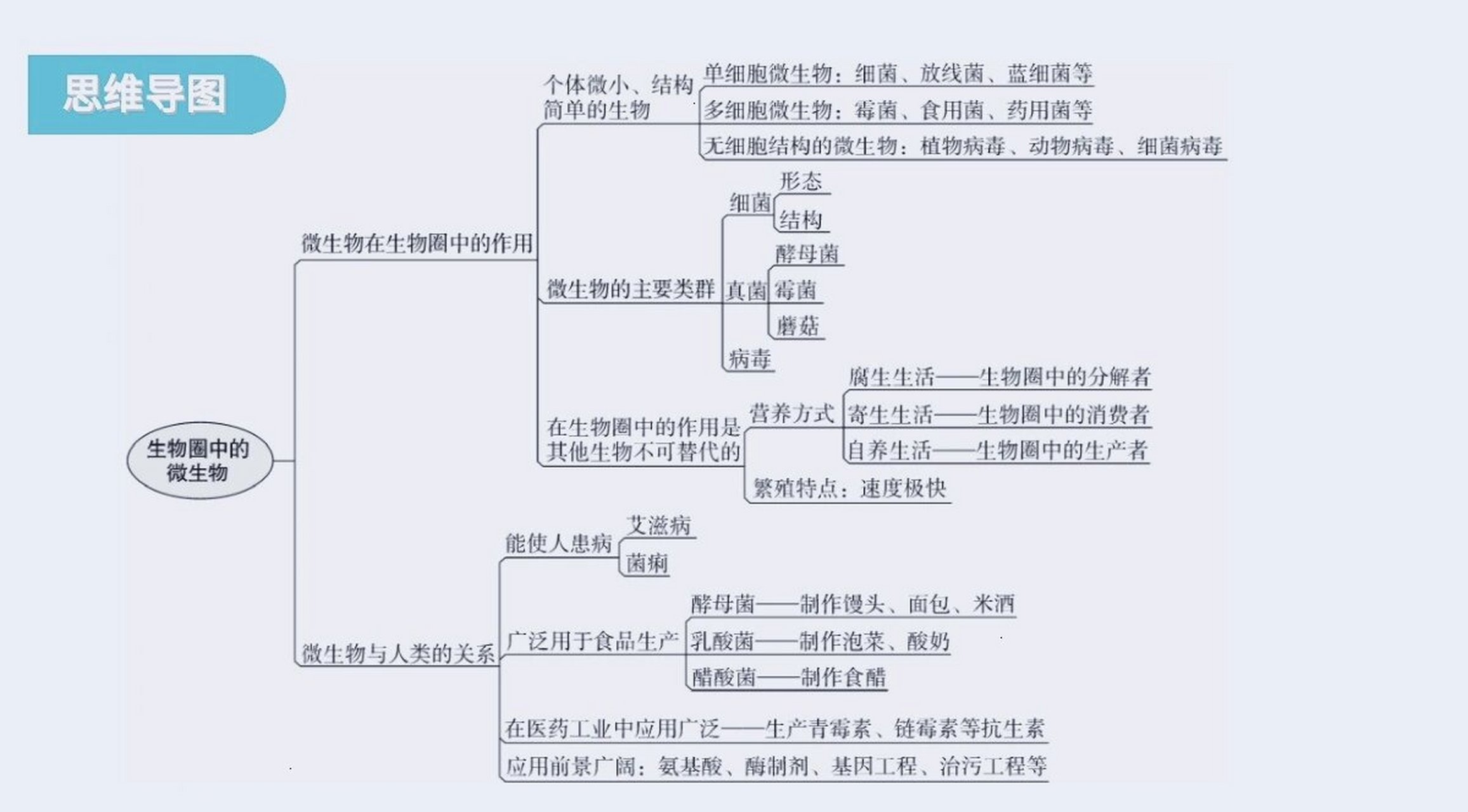 八上生物思维导图全书图片