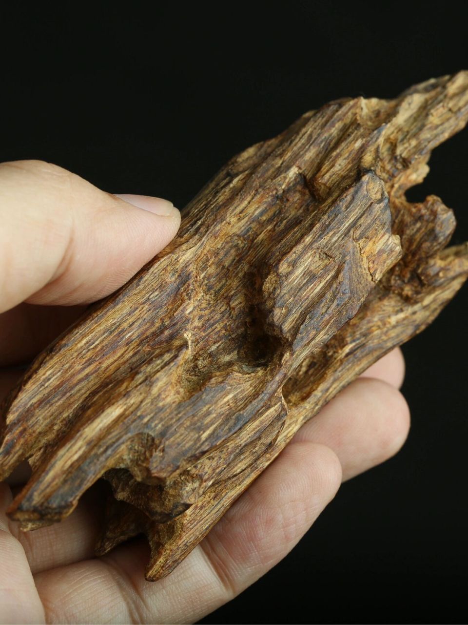 顶级奇楠沉香,真是可遇不可求90 奇楠之珍贵,不仅是香道闻香之极品