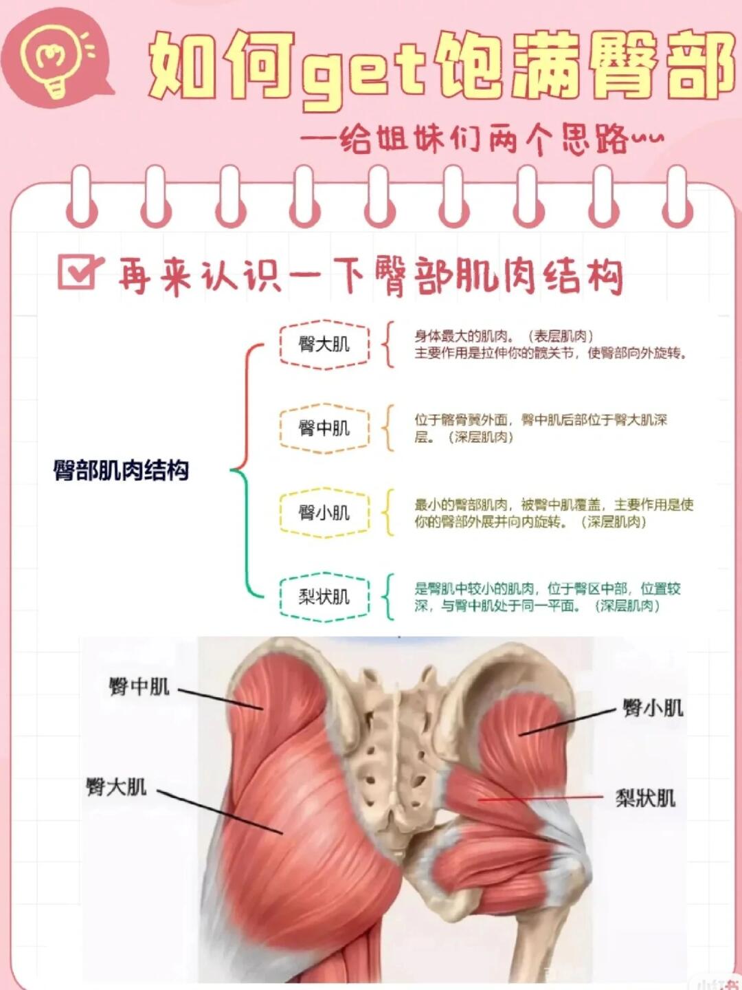 臀凹陷姐妹看过来【学臀饱满思路】