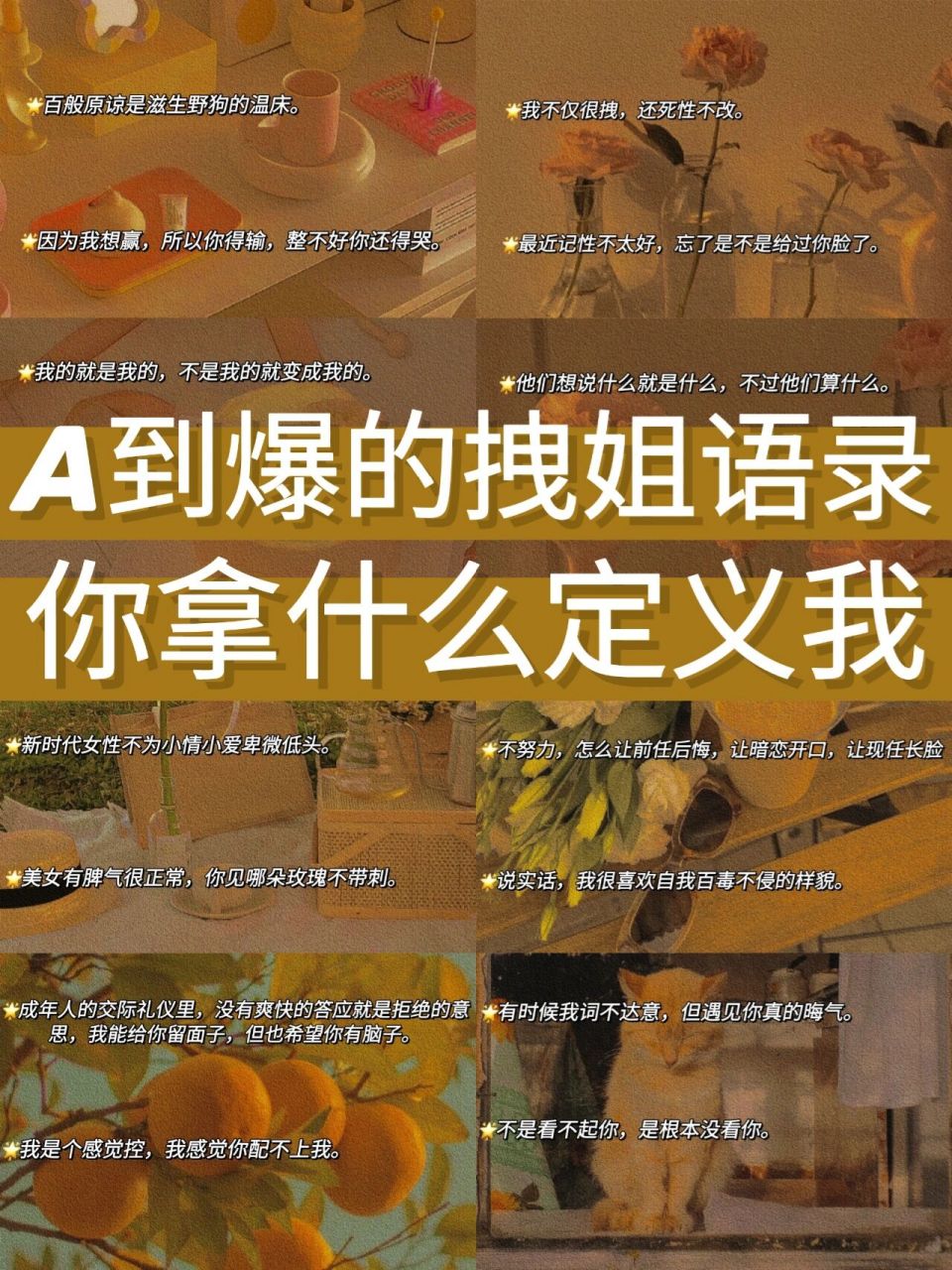 文案|拽姐语录:我不仅很拽,还死性不改 99百般原谅是滋生野狗的温床