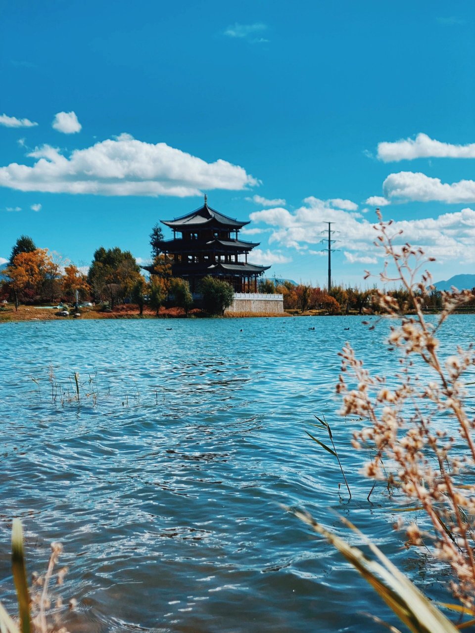 深秋的中济海公园真的美的像漫画 丽江秋季宝藏打卡点～中济海公园