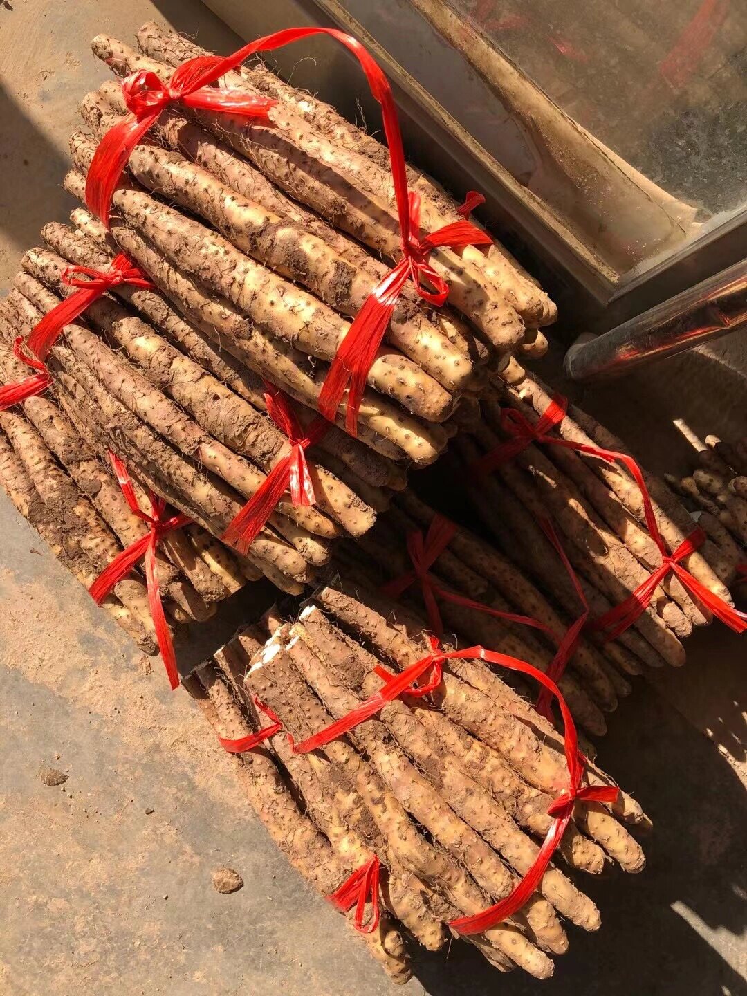 河南焦作温县垆土铁棍山药 怀山药,河南省焦作市特产,中国国家地理