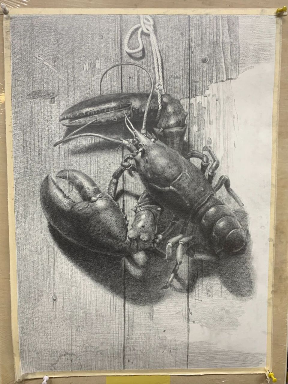 素描画龙虾过程