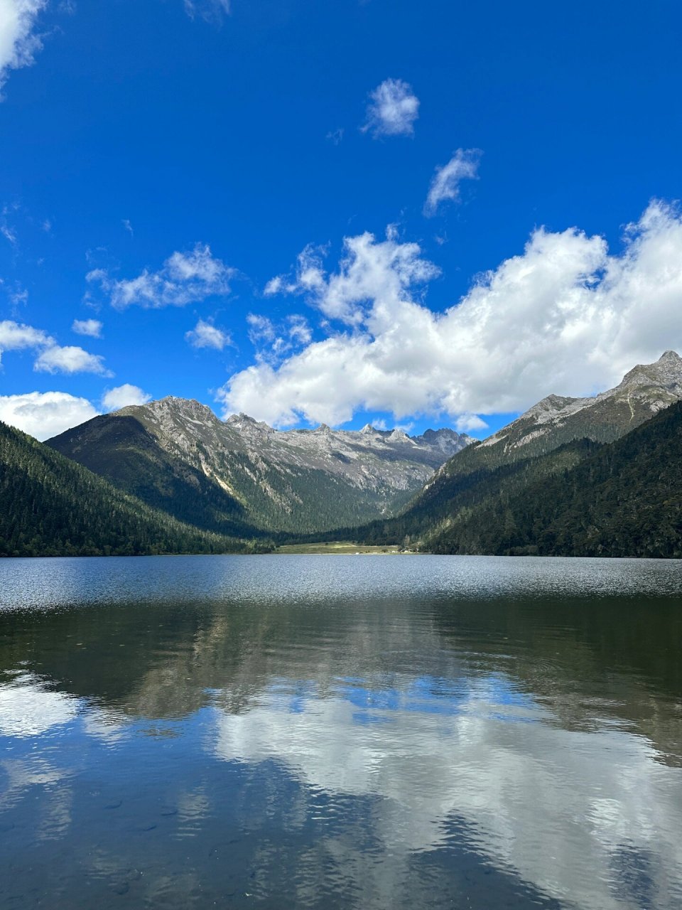 94伍须海景区 伍须海景区海拔有3700m左右,山峰,森林,溪流,草坪