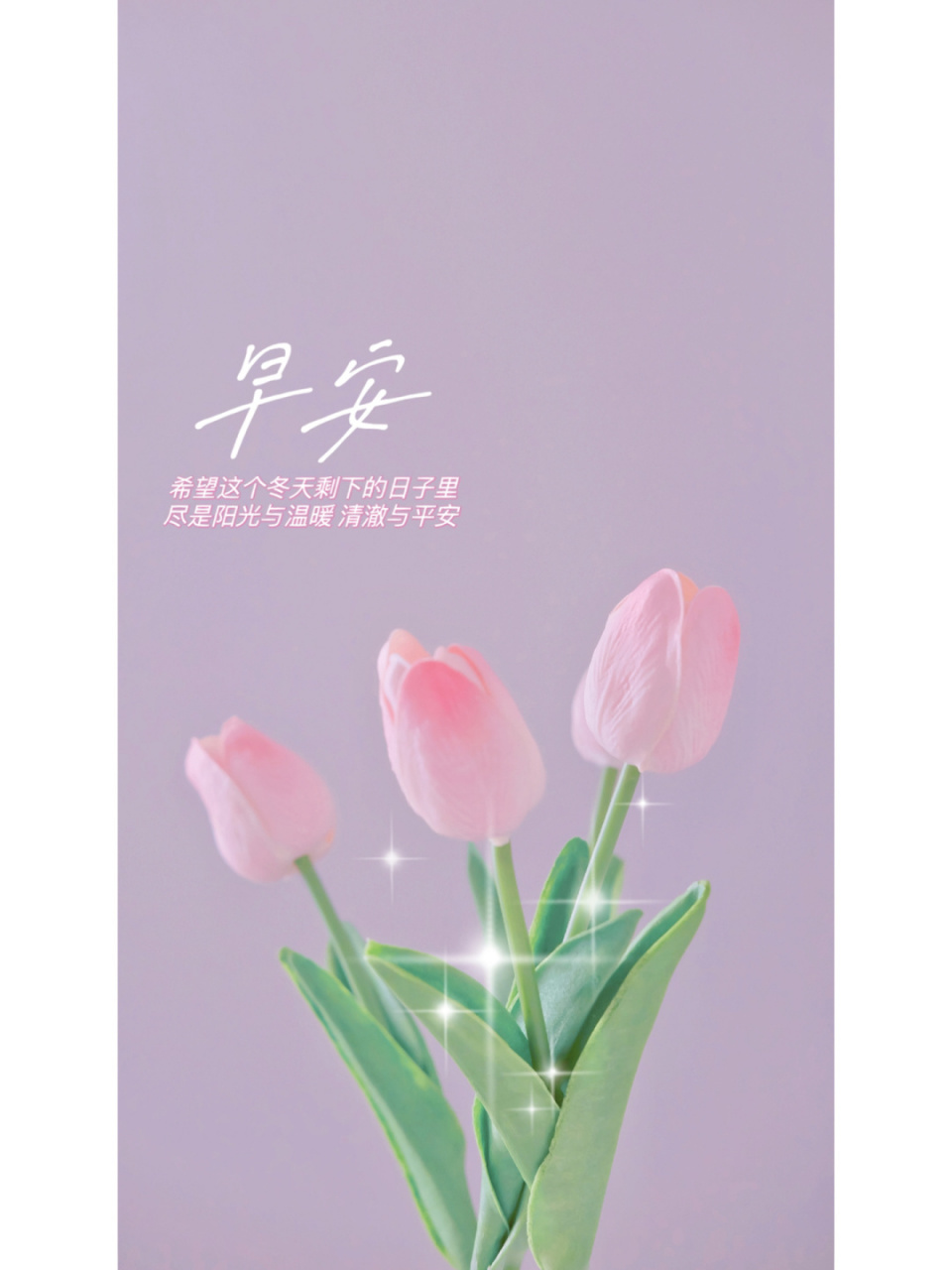 早安文案|朋友圈文案|早安美图 学习向日葵 哪里有阳光就朝向哪里 做