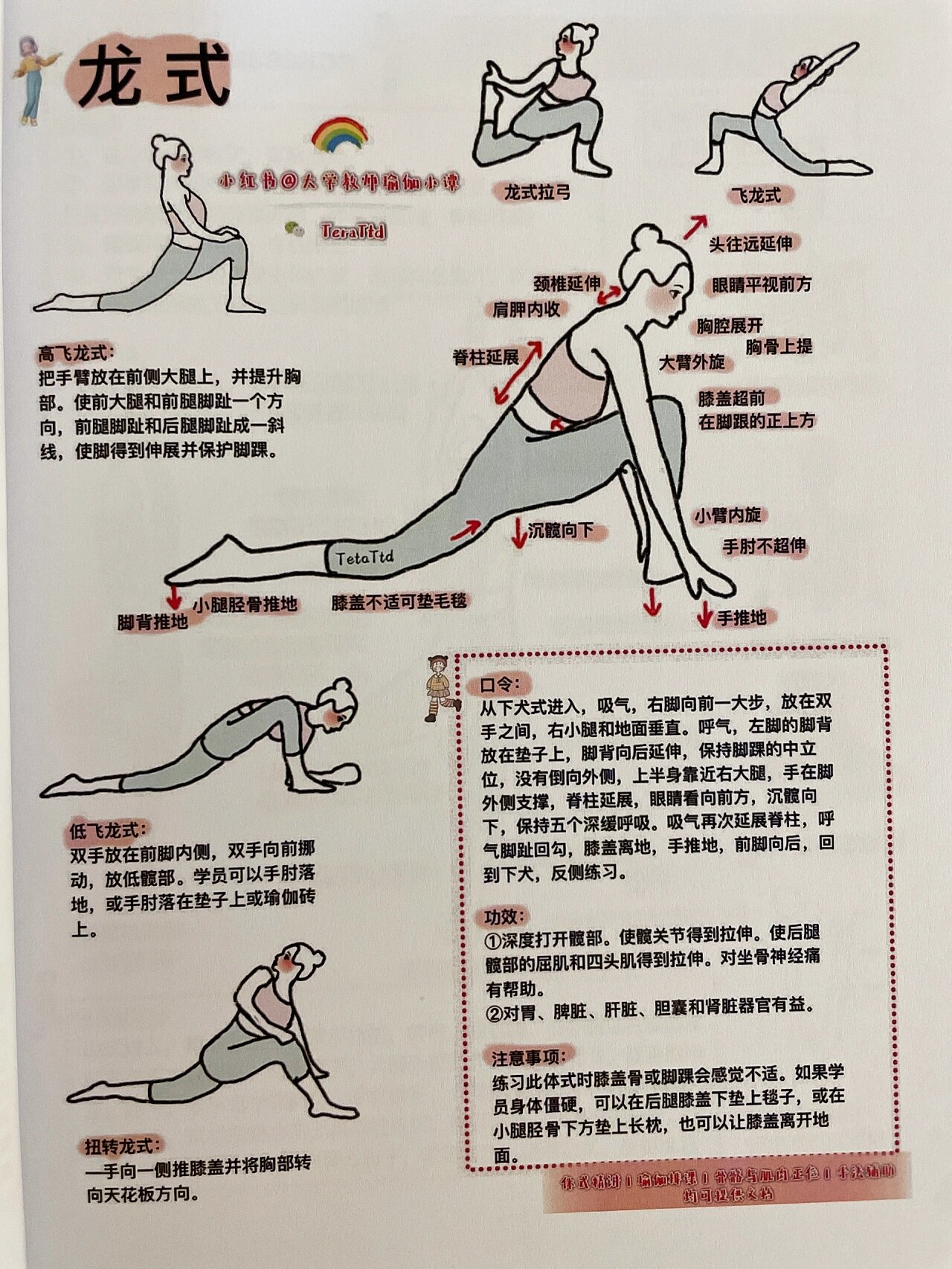 瑜伽教培笔记✅龙式体式精讲口令及注意事项
