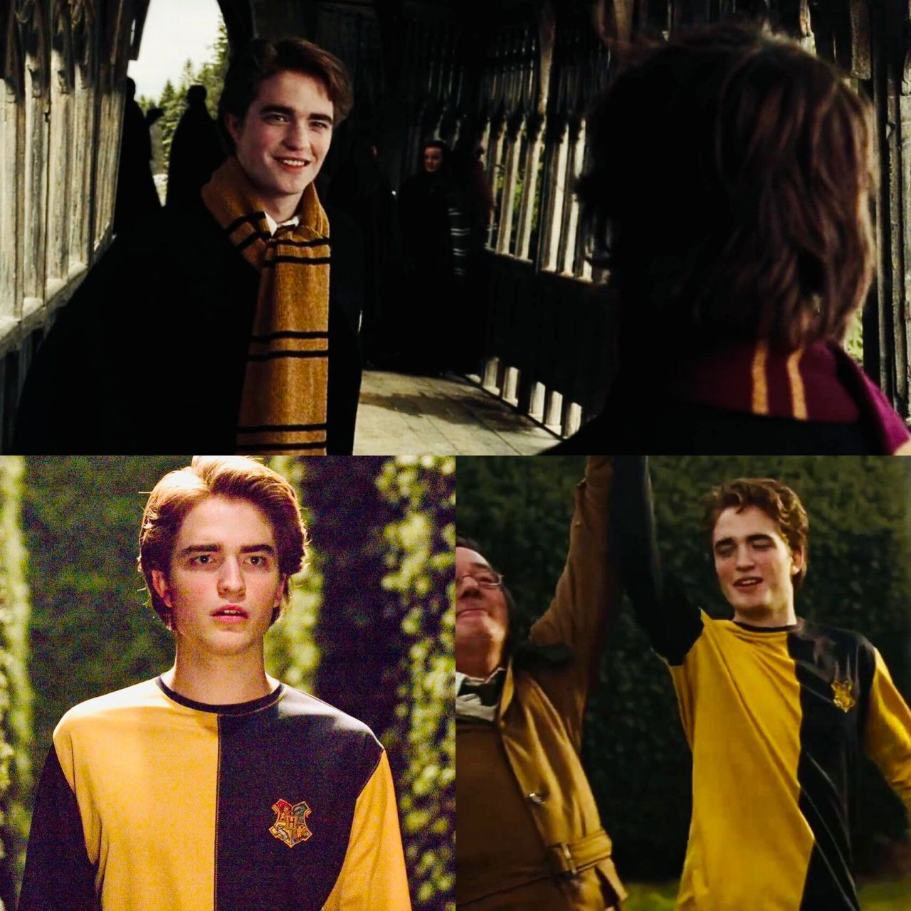 四大学院之赫奇帕奇 赫奇帕奇学院 (hufflepuff)是霍格沃茨魔法学校的