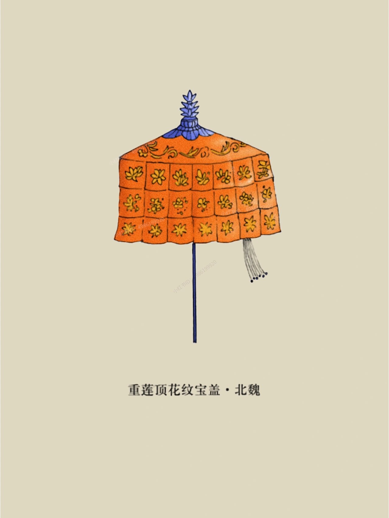 皇帝的伞图片大全