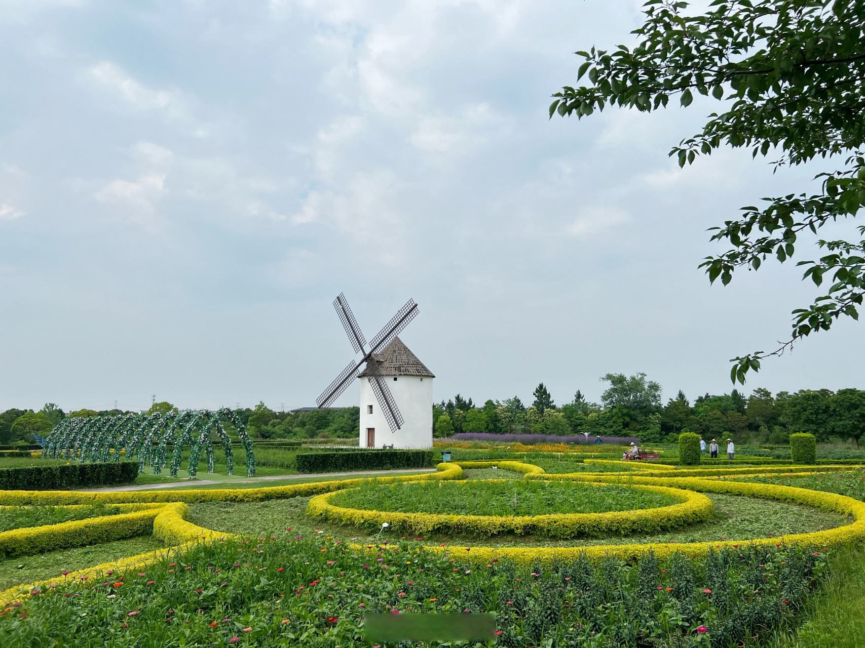 寻美湖北# 【寻美孝感 金卉庄园】再次来到金卉庄园,放眼望去,绿意