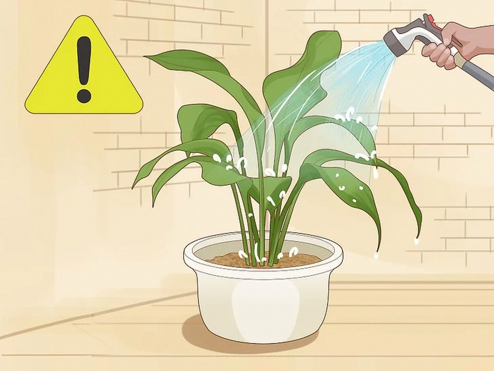 如何拯救由于水浇的太多而即要淹死的植物 当您想好好照顾自己的植物