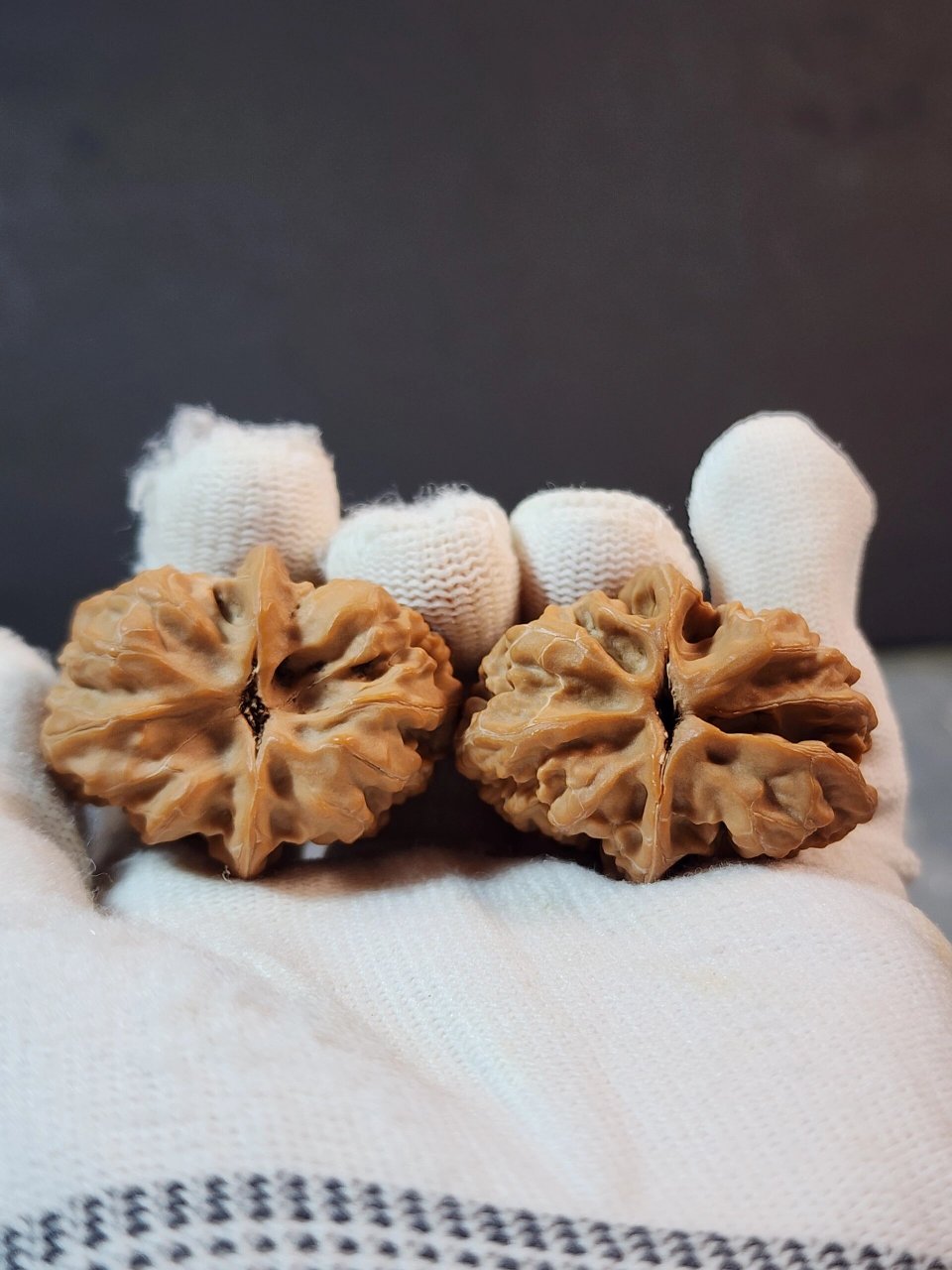 平谷方块核桃原树带证书全品 40尺寸高货欣赏