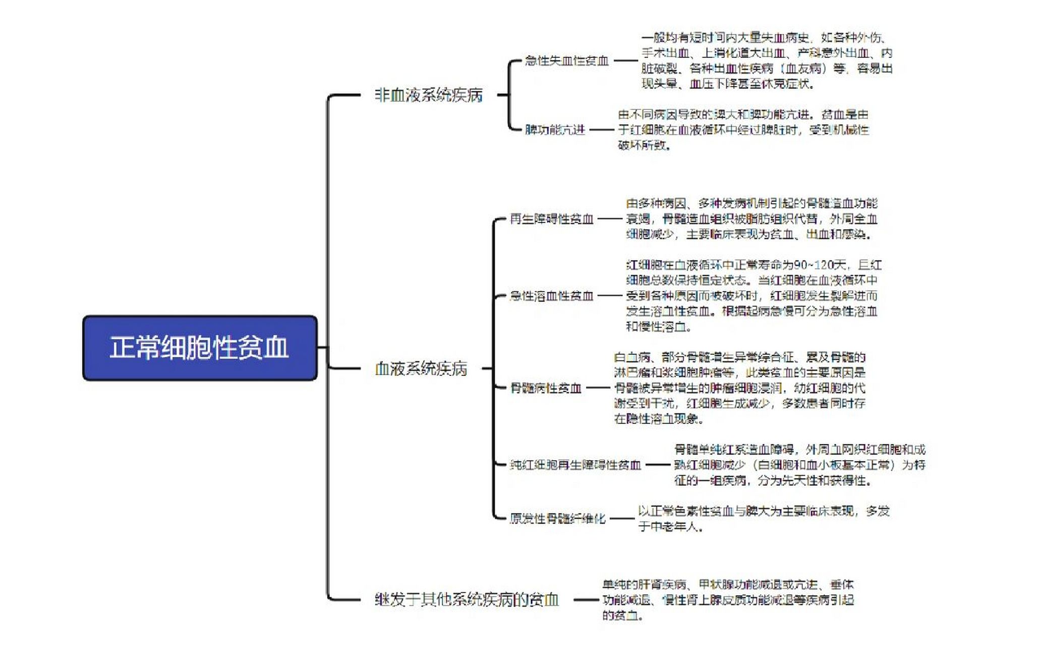 贫血分类图片