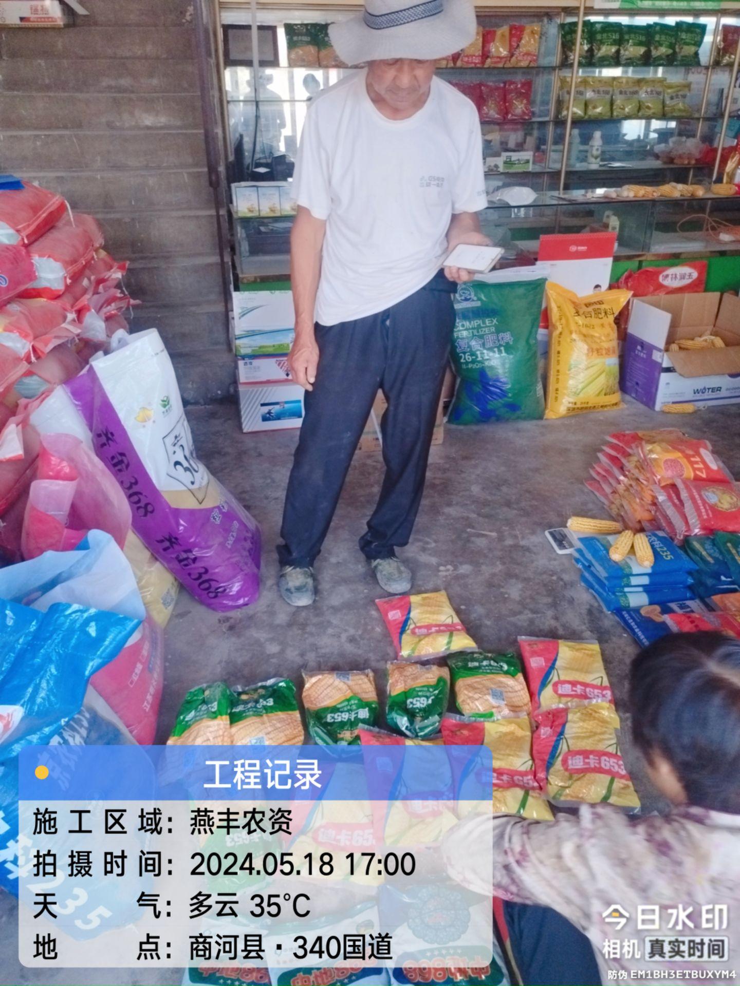 迪卡653高产抗灾好卖粮迪卡698双抗锈基因产量杠杠的