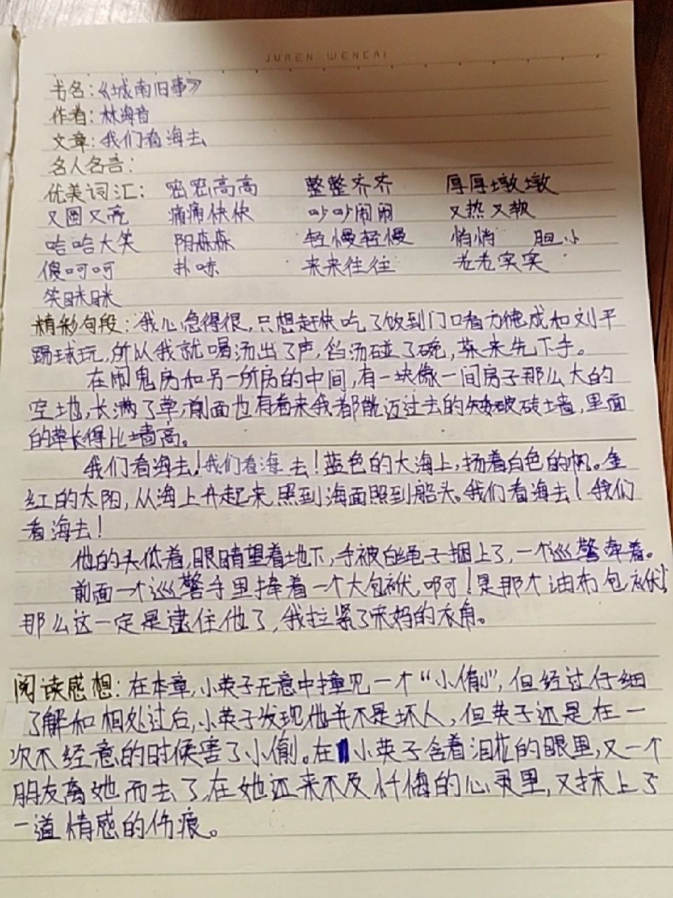 我们看海去  城南旧事读书笔记 (我们看海去)